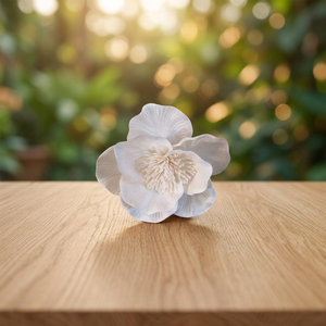 Best Selling 12CM Handmade Thailand Artificial Sola Wood Environmental Friendly White <b>Flowers</b> Home Decorative Wholesale Reed - Product Image 3