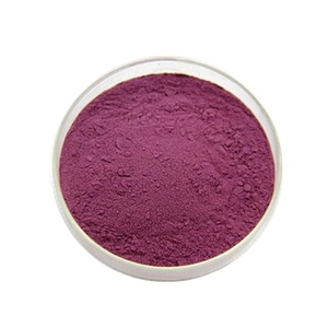 Polvo de extracto de jugo de arándano de fecha fresca polvo de extracto de arándano de alimentos - Product Image 3