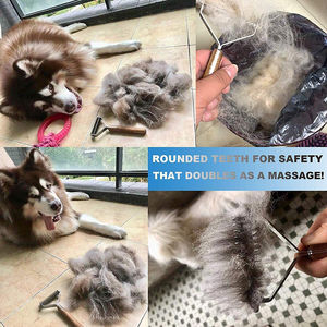 犬用ブラシ ペットグルーミング ペットコーム 爪とぎ 木製ハンドル 子犬用グルーマー ペットメーカー 猫用ブラシ - Product Image 2