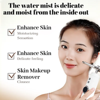 Vaporizador Facial Portátil Nano Mist, Inyector de Oxígeno Inalámbrico USB, Hidratante Profundo para el Cuidado de la Piel, Control de Grasa, Dispositivo Hidratante para el Hogar