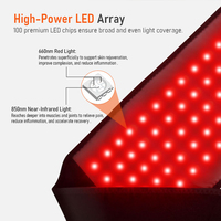 Dispositivo de Terapia de Luz Roja Inalámbrico de Mano con Calentamiento Infrarrojo y Vibración para Uso Doméstico en Senos y Manos