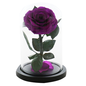 Vente en gros préservé galaxie Rose en dôme de verre pour toujours éternel Roses Fleur pour <span class=keywords><strong>St</strong></span> <span class=keywords><strong>Valentin</strong></span> Cadeaux préservé Rose dôme en verre - Product Image 2