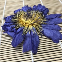 How4009 Lan lian hua fleur de Lotus bleu naturel thé lotus bleu en vrac