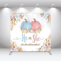 He or She Blue Pink Teddy Bear Balloon Arch Show Display Backdrop Gender Reveal Latar Belakang Fotografi Dua Sisi yang Dapat Disesuaikan