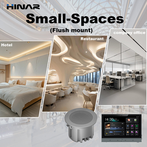 Sistema de Música Ambiental Inteligente para el Hogar con Altavoz de 2.5 Pulgadas, Reproducción en Dos Zonas, Google Play, Altavoces de 2 Canales, Amplificador de Audio para el Hogar - Product Image 3