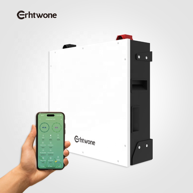 5kWh мощность настенный светильник батарея 48В 51,2 V 100Ah литий-ионный аккумулятор для жилых помещений промышленного дома Аккумулятор