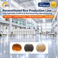 Ligne de production de riz fortifié FRK, extrudeuse à double vis, machine de fabrication de riz nutritionnel