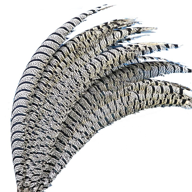 Wholesale Feather Supplier Full Size South