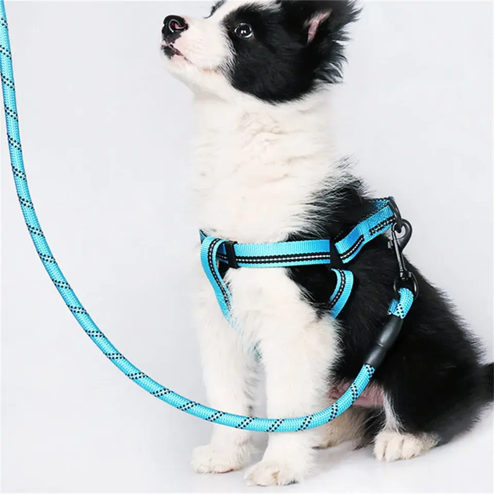 Meilleure vente sangle en nylon personnalisée robuste 1.5m/2.0m/3.0m bandes réfléchissantes formation chien laisse corde avec mousqueton pivotant