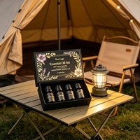 Kit d'huiles essentielles pures à faible MOQ, marque privée, citronnelle, gingembre, menthe, eucalyptus pour un air frais et rafraîchissant et une utilisation quotidienne à la maison