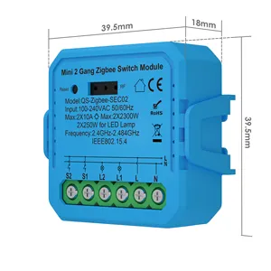 Interruptor de Control remoto inalámbrico de 2,4 Ghz AC 110V 220V 2CH módulo receptor de relé transmisor remoto RF