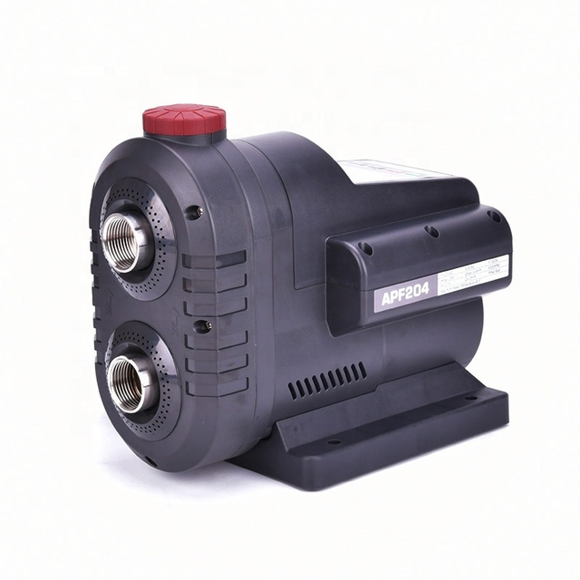 550W 0.75HP Low Power Consumption Constant Pressure Multistage Pump with Permanent Magnet Motor
