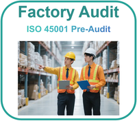 Control de calidad del proveedor Auditoría de fábrica ISO 45001 Pre-Auidt