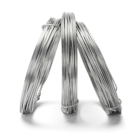 Fil d'acier galvanisé anti-torsion BAOWU, 0,1 mm-8 mm, pour support de serre, corde de maintien et câble de fixation pour support solaire