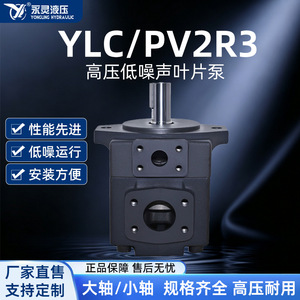 Pompe à aubes hydraulique haute pression et faible bruit Yongling Hydraulics PV2R3 pour machines de découpe mécanique de plastiques - Product Image 4