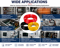 Câble électrique en cuivre isolé au PTFE haute température, longueur personnalisée AWG pour équipement de chauffage industriel