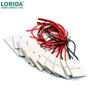 Lorida Semiconductors 12V 61W 40*40mm tec ، وحدة صفيحة غرفة التبريد