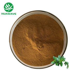 Fabrika kaynağı kurutulmuş organik Purslane Purslane toz Portulaca Oleracea özü - Product Image 1