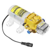 Pompe à eau auto-amorçante à diaphragme haute pression efficace 30W 12V/24V 4 bars personnalisable OEM