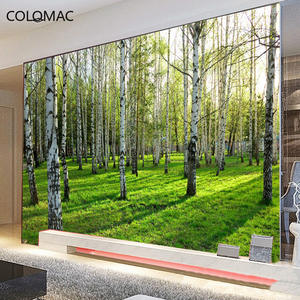 Peler et coller personnalisé 3D Mural <span class=keywords><strong>papier</strong></span> <span class=keywords><strong>peint</strong></span> salon chambre canapé TV fond <span class=keywords><strong>papier</strong></span> <span class=keywords><strong>peint</strong></span> vert <span class=keywords><strong>bouleau</strong></span> forêt Photo <span class=keywords><strong>papier</strong></span> <span class=keywords><strong>peint</strong></span> - Product Image 3