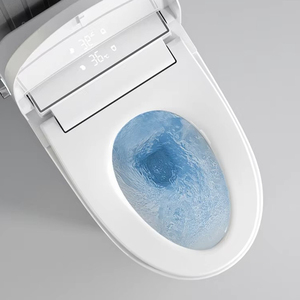 WaterMark Intelligent Smart Luxury Black Touch Panel Tankless Side Halo Ring Knob Blue Ambient <b>Light</b> Rimless Elongated S-Trap - Product Image 4