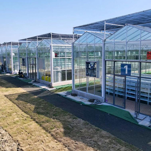 Serre en acier galvanisé <span class=keywords><strong>à</strong></span> chaud <span class=keywords><strong>à</strong></span> faible coût pour concombres et tomates dans des maisons en verre agricole <span class=keywords><strong>à</strong></span> cadre - Product Image 5