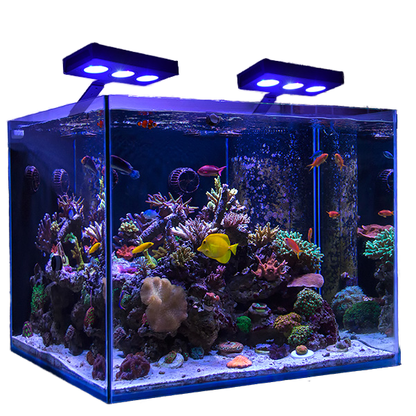 A052 RGB Full Spectrum 52W 75W LED Light Marine Coral Reef Aquariums Saltwater Fish Tank Lamp White Emitting Color CRI 90 IP65