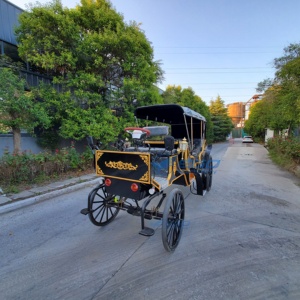 Carroza Eléctrica Negra de Alta Calidad para Turismo, Transporte Especial, Fabricante en Venta, Ofrecemos Depósito Personalizado - Product Image 6
