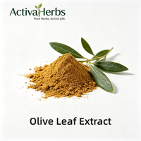 Extrait de feuille d'olivier naturel Olea europaea 10%-40% Oléuropéine 10%-30% Hydroxytyrosol