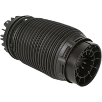 Amortisseur de suspension pneumatique arrière, airbag arrière pour Dodge RAM 1500 68069813AA 4877136AB