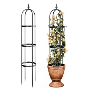 Plantes grimpantes au design moderne <span class=keywords><strong>Support</strong></span> vertical Plantes grimpantes <span class=keywords><strong>Arche</strong></span> de jardin pour l'extérieur et l'intérieur - Product Image 2