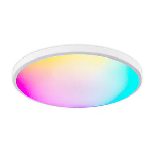 RGB полноцветный светодиодный потолочный светильник современный простой круглый интеллектуальный пульт дистанционного управления потолочный светильник