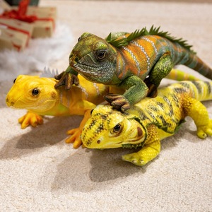 Juguete de Peluche de <span class=keywords><strong>Lagarto</strong></span> Simulado, Dragón Barbudo y Otros Accesorios de Reptiles, Muñeco de Camaleón con Relleno de Algodón PP - Product Image 2