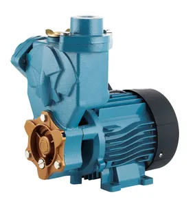 家用微型泵电动启动0.75hp高压1英寸增压泵