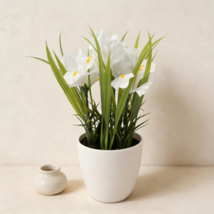 Fleur d'<span class=keywords><strong>iris</strong></span> artificielle avec pot en plastique blanc, plante d'<span class=keywords><strong>iris</strong></span> artificielle au toucher réel, fleur blanche pour la décoration <span class=keywords><strong>de</strong></span> la maison, des mariages, des jardins et des fêtes - Product Image 6