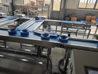 Productielijn voor het weken, wassen, sorteren en luchtdrogen van lotuswortel, gember en taro voor de voorbewerking van diepvriesfruit en -groenten in een fabriek.