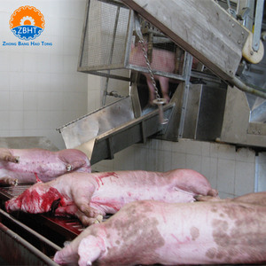 Attrezzatura Completa per la Macellazione di Suini per Mattatoi, Macchinari ad Alta Capacità per la Lavorazione della Carne Suina con Motore e Cuscinetti, Design Personalizzabile - Product Image 5