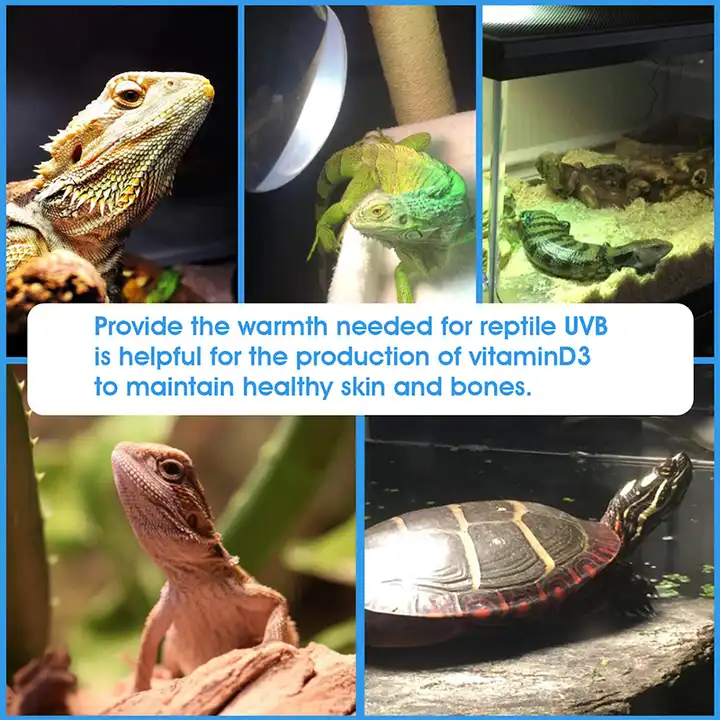 Curated visual reference: Picture Idea: Shengxiang New Bulb Light Reptiles Heat Light Lamp Reptiles Heat