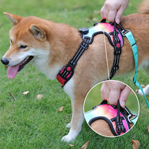 OKEYPETS-arnés reflectante ajustable para <span class=keywords><strong>perro</strong></span>, chaleco <span class=keywords><strong>de</strong></span> <span class=keywords><strong>seguridad</strong></span> para exteriores, arnés led recargable para <span class=keywords><strong>perro</strong></span>, nuevo diseño, venta al por mayor - Product Image 3