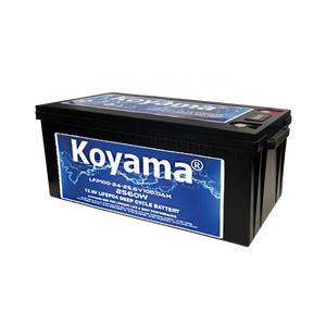 แบตเตอรี่ 24V 100Ah เกรด A เซลล์ใหม่ พร้อมระบบ BMS ลิเธียมไอรอนฟอสเฟต สำหรับเรือพลังงานแสงอาทิตย์ - Product Image 1