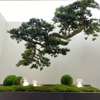 Plantes artificielles, faux arbres et piniers décoratifs, plantes artificielles pour décoration de plafond, plantes suspendues artificielles