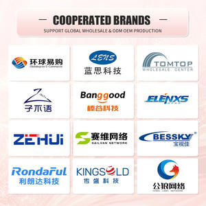 ピンクレオパード柄アイライナー＆マスカラセット ミネラルウォータープルーフマスカラ まつげエクステ用 OEM製品 - Product Image 4