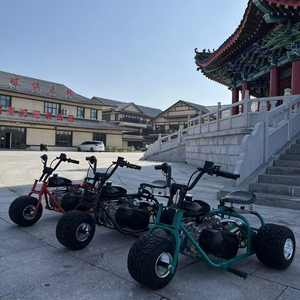 Mini-tricycle <span class=keywords><strong>motorisé</strong></span> rapide pour adultes, 212cc, quatre temps, à essence, tout-terrain, personnalisé, en gros de Chine, en stock à vendre - Product Image 6