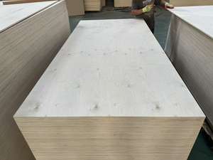 <span class=keywords><strong>Plaque</strong></span> de <span class=keywords><strong>contreplaqué</strong></span> de bouleau stratifié marin filmé 122x244cm, <span class=keywords><strong>contreplaqué</strong></span> MDF 4x8 - Product Image 6