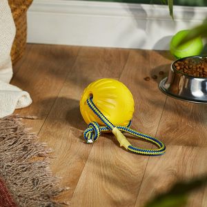 Wholesale 2026 New Eco Friendly Pet Interactive Throw EVA Floating Bouncy Hollow Solid <b>Dog</b> Training <b>Ball</b> Toys for Pets - Product Image 5