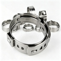 Collier de serrage à une oreille en acier inoxydable AISI 304 DIN 3017 pour applications automobiles, CVC et plomberie en Europe