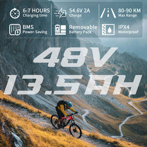 Bicicleta Eléctrica de Montaña Duotts E29 en Existencia en la UE y el Reino Unido, Bicicleta Eléctrica para Adultos - Product Image 4