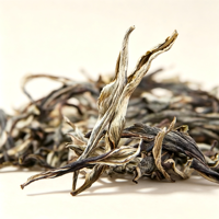 Thé Pu'er cru en vrac de vieilles plantes du Yunnan, Pu Erh Sheng à l'arôme intense et sucré pour la vente en gros