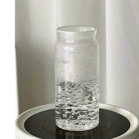 Bouteille d'eau en verre borosilicate style bouteille de vin avec infuseur à thé en silicone amovible et couvercle anti-fuite pour café infusé à froid