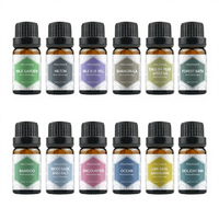 Humidificador Especial con Aceite Esencial de 10 ml, Aromaterapia, Difusor de Plantas Soluble en Agua, Ambientador con Aroma a Lavanda, Vapor 100% Puro
